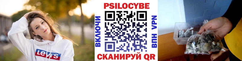Галлюциногенные грибы Magic Shrooms hydra ССЫЛКА Новокузнецк наркота