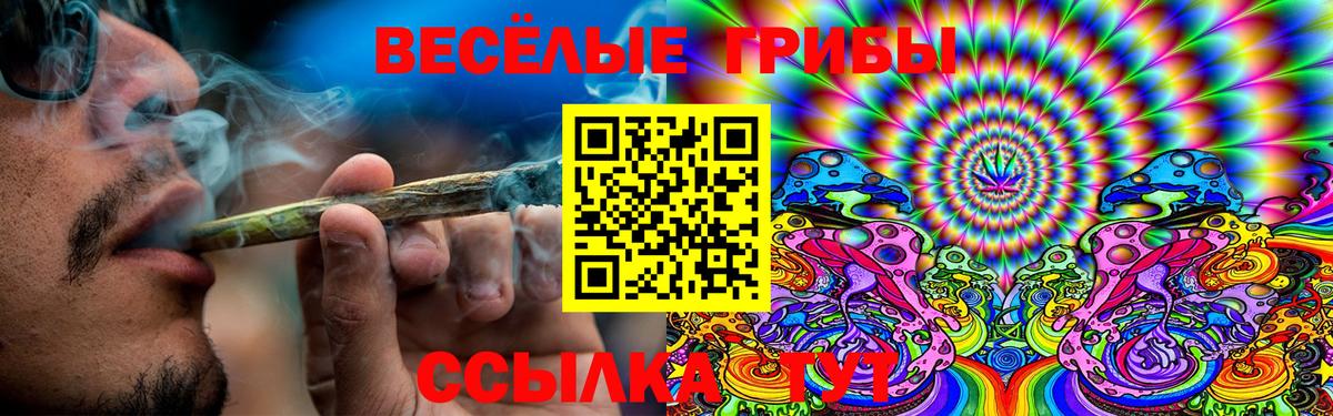Новокузнецк  Псилоцибиновые грибы прущие грибы  Вход с VPN 